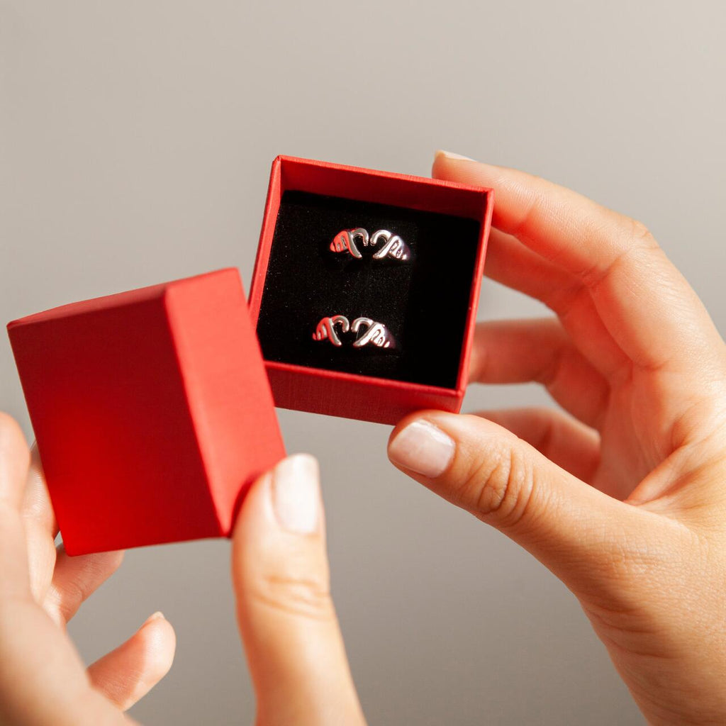 Anillo Amor Eterno — los dos anillos